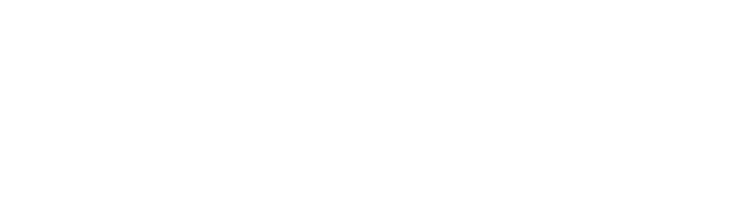 2Win logo25 white