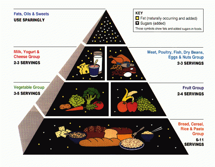 The 90s food pyramid is a great example of business storytelling making its way into homes and cafeterias everywhere. 